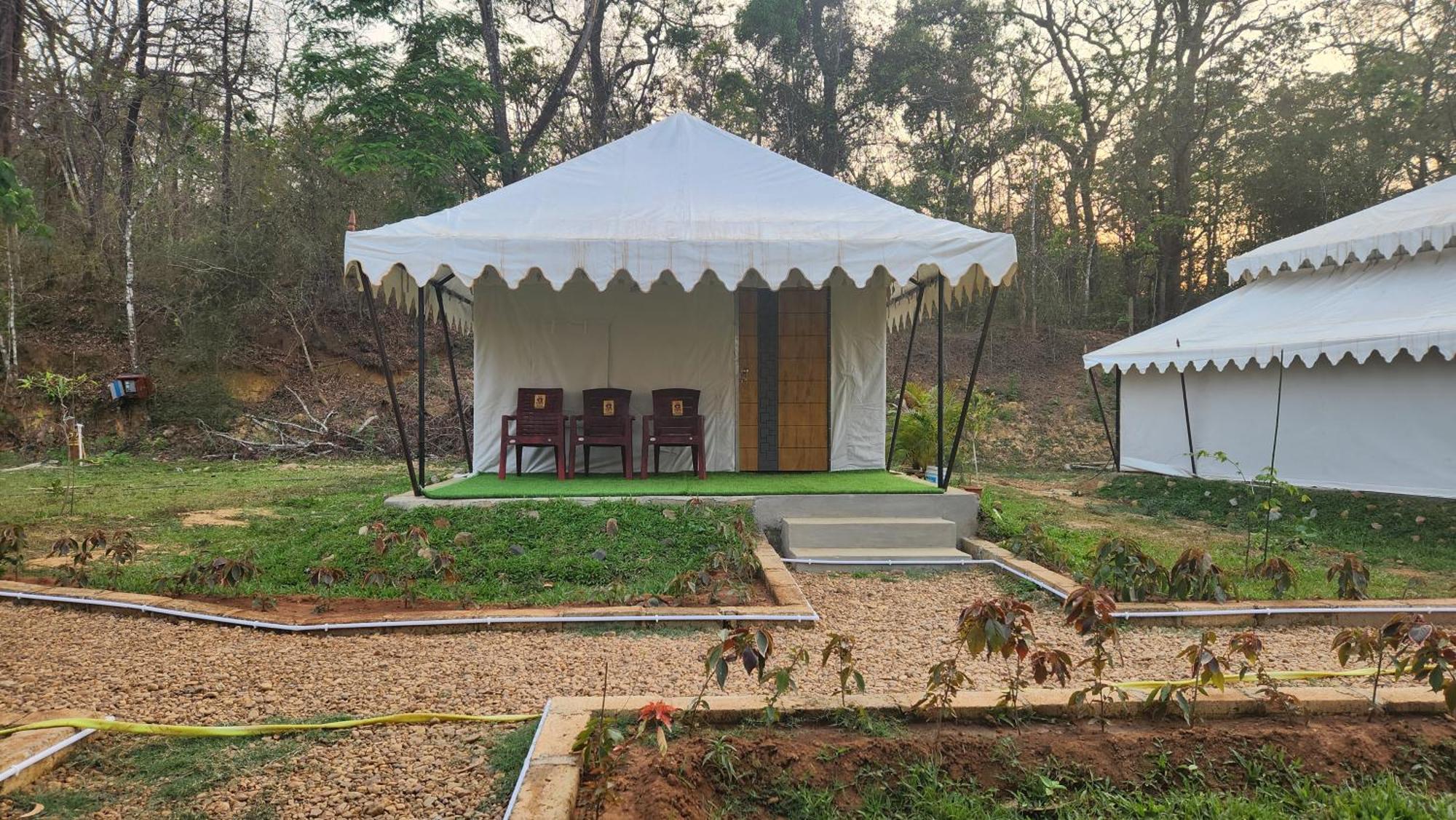 דירות דנדלי Woods Creek מראה חיצוני תמונה