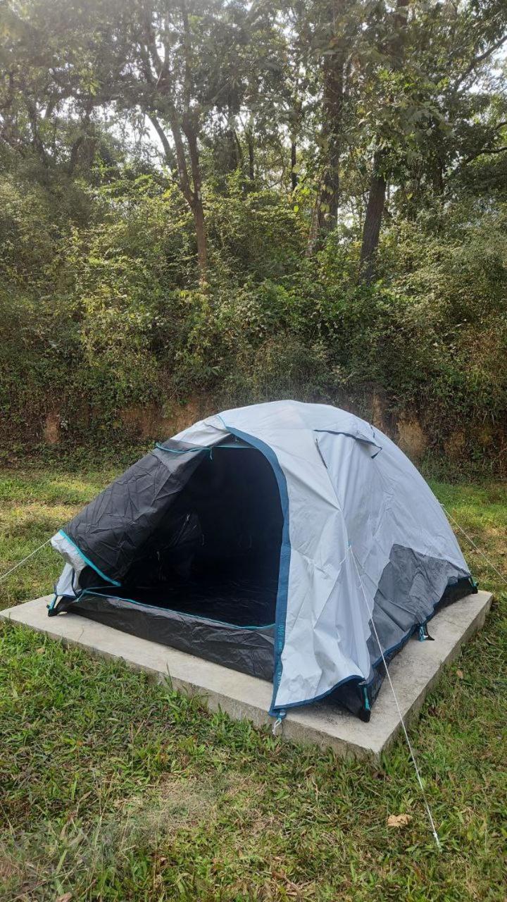 דירות דנדלי Woods Creek מראה חיצוני תמונה